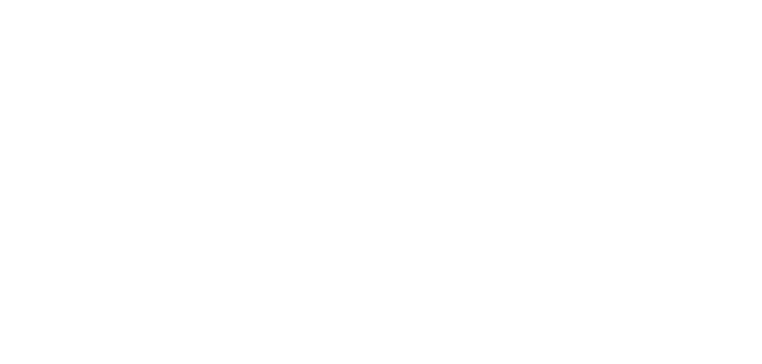 True North Logo